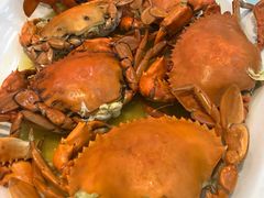 -台山美食一绝阿四台山黄鳝饭(阿四创作店)