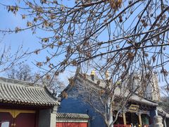-护国法轮寺