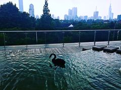 -行者书屋大堂吧 ·下午茶(南京圣和府邸酒店)