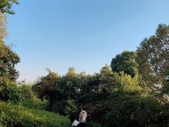 -常州武进九洲喜来登酒店