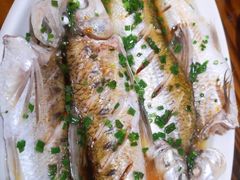 -呼吸森林·生态农庄农家乐私房菜