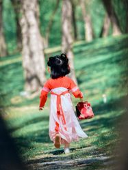 点击看大图 -乐米baby儿童摄影(燕郊店)