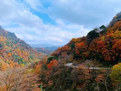 -光雾山旅游景区