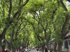 -北京国子监胡同
