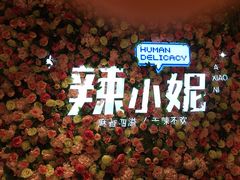 -辣小妮de川菜馆(红旗Mall店)