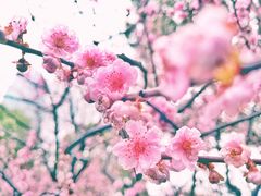 -静安雕塑公园