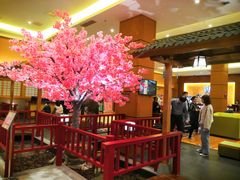 -大江户·温泉洗浴(浑南店)