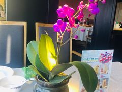 -粤秀餐厅(国货店)