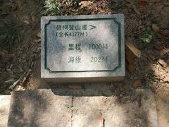 -梧桐山风景名胜区