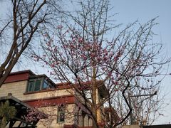 -清真·锦翔炝锅鱼(明德门店)