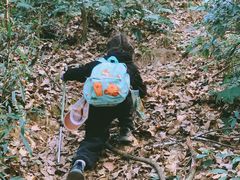 -杭州半山国家森林公园