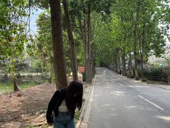 -三圣花乡旅游区