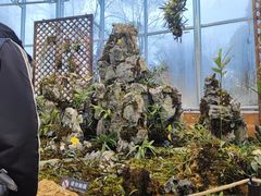 -国家植物园南园