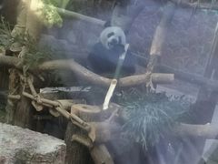 -黔灵山公园-南门售票处