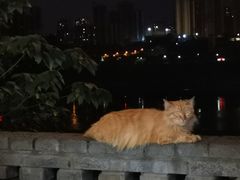 -大渡口区义渡公园