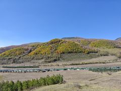 -塞罕坝国家级自然保护区