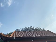 -顺峰山公园