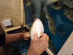 -天正河鲀·河豚亭(大连店)