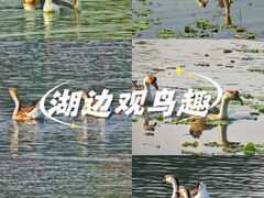 -吴淞炮台湾湿地森林公园烧烤区