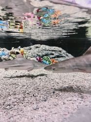 -Zoolung Zoolung动物主题公园(海信广场店)