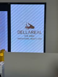 -BELLAREAL新美社