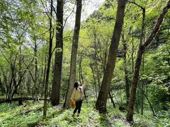 -叠溪松坪沟景区