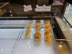 -TD66高山铁皮石斛养生茶饮