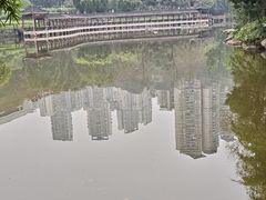 -龙头寺公园