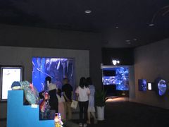 -成都浩海立方海洋公园