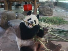 -东钱湖旅游度假区