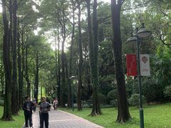 -广州珠江公园