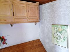 -金山农民画村-枫泾波兰倒置屋