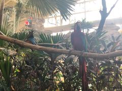 -杭州开元森泊度假乐园