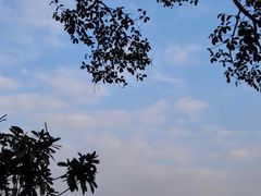 -重庆市江北嘴中央商务区中央公园