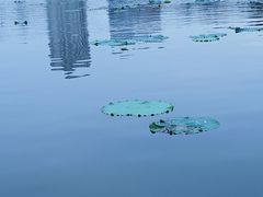 -南通濠河风景名胜区