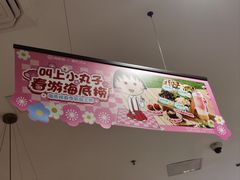 -海底捞火锅(龙岗星河COCO Park店)