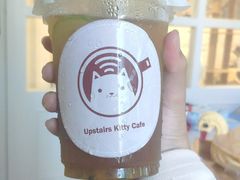 百香柠檬茶-楼上猫咖(罗湖店)