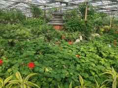 -南宫五洲植物乐园