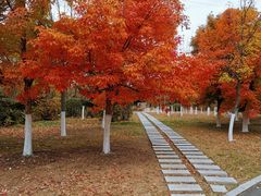 -长春世界雕塑园冰雪艺术天地