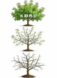 -紫琪尔胸部养护中心