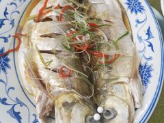 清蒸白水鱼-状元楼(金溪路店)