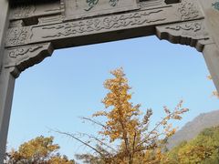 景点-杭州半山国家森林公园