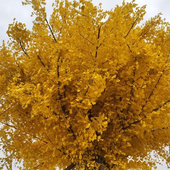 非常感谢抽中了门票和小火车体验票，逛了个小时