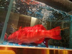 -ONE FULL 古董港式海鲜火锅