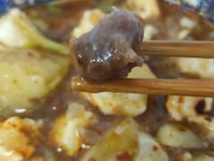 刘老虎肉丸-刘老虎肉丸糊辣汤(总店)