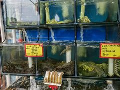 水产区-蚝专家(北滘店)