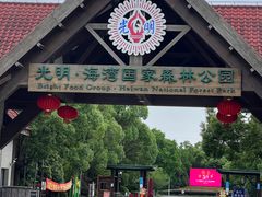 -上海海湾国家森林公园