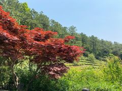 -九龙潭景区