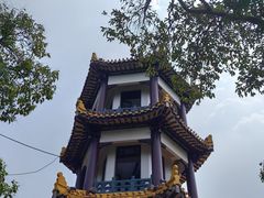 -赭山公园