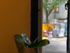 -灶咖KITCHEN